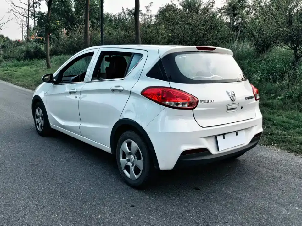 Baojun 310