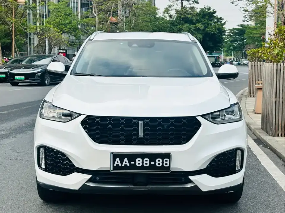 WEY Wey VV6