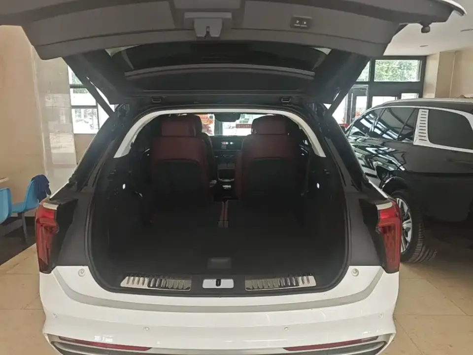Hongqi Hongqi E-HS9