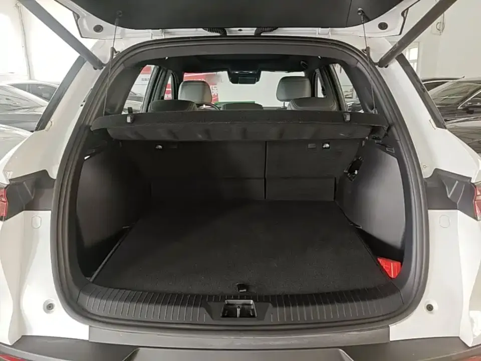 BYD Pro New Energy