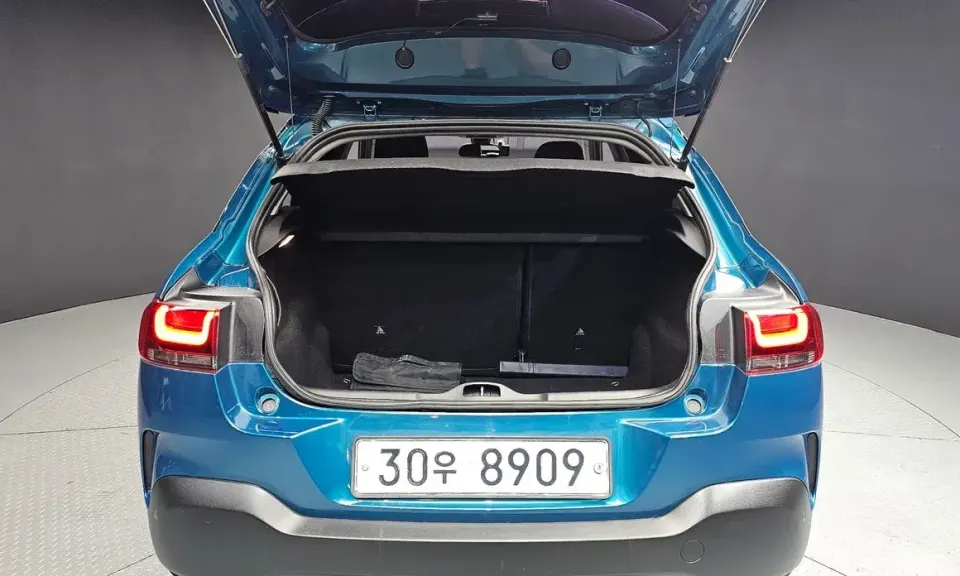 Citroen-DS C4 CACTUS