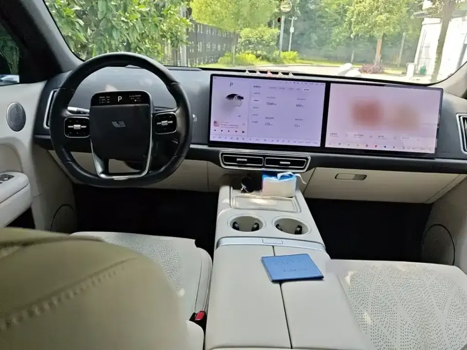 Li Li L6