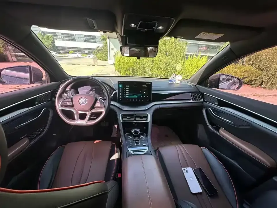 BYD PLUS