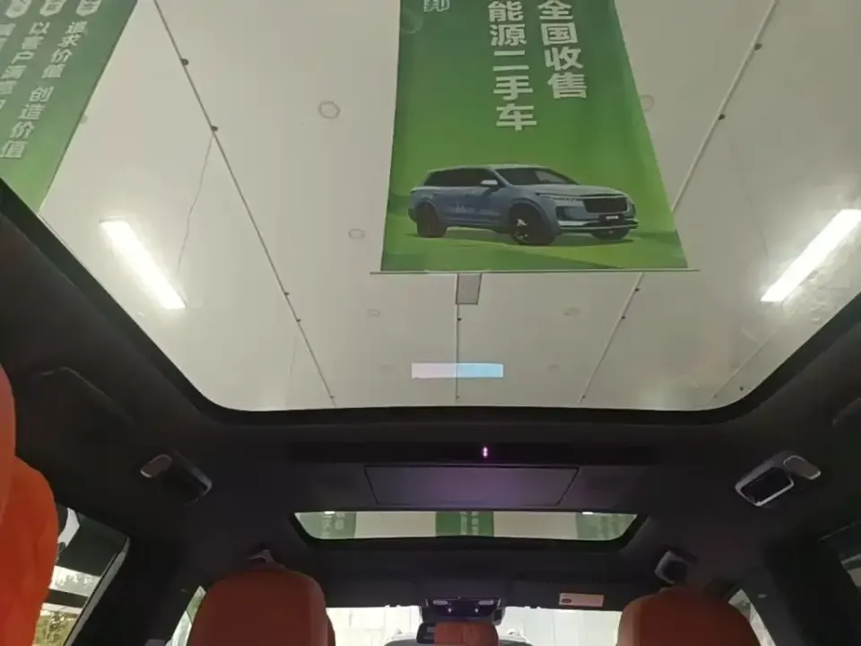 Li Li L9