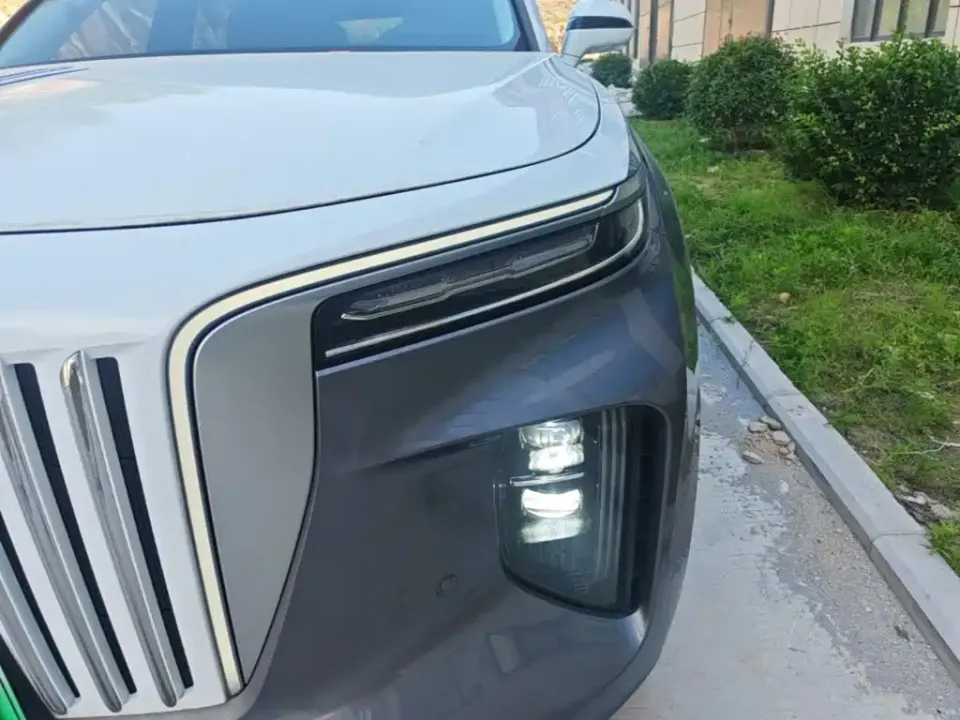 Hongqi Hongqi E-HS9